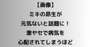 【画像】ミキの昴生が元気ないと話題に！激ヤセで病気心配されてしまうほど